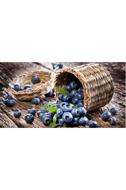 голубика американская Река